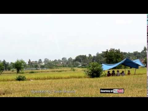 Sudut Pandang Lain Jatuhnya Pesawat Tempur T50 Golden Eagle - NET12