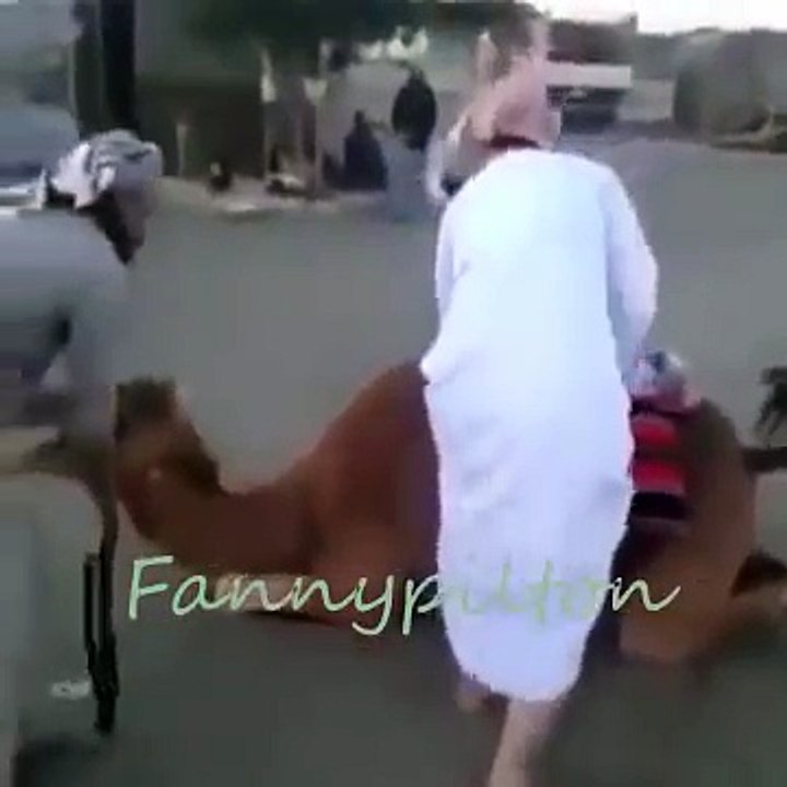 fanny videoawesome video