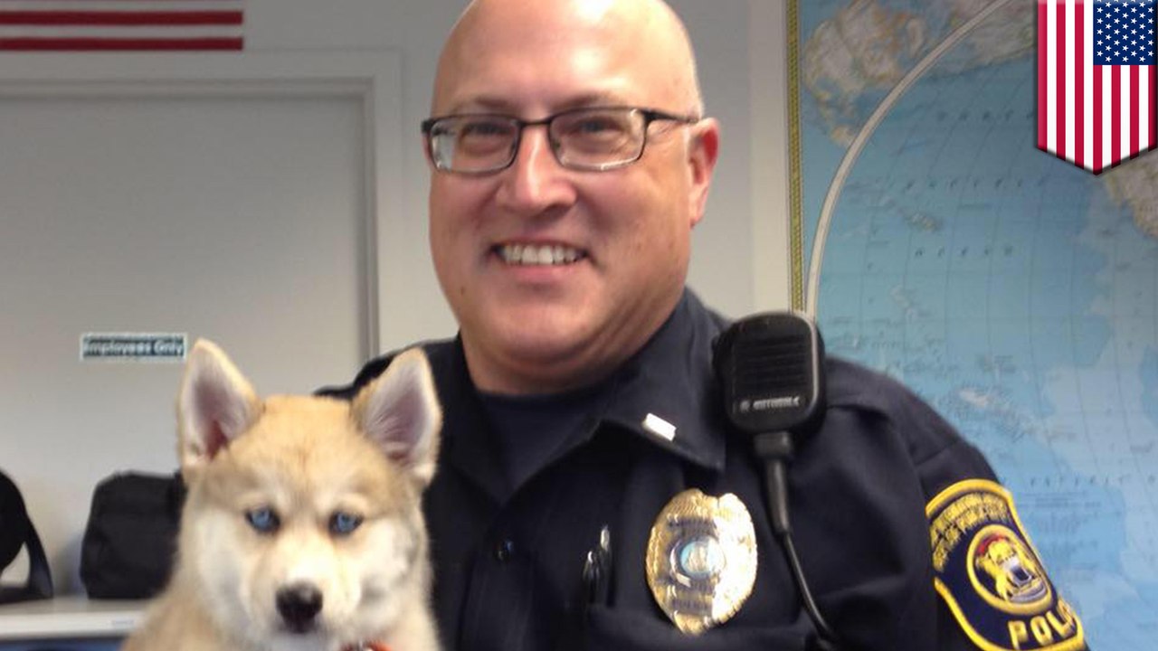 Flint Bishop airport attack: Police officer stabbed in possible terror attack - TomoNews