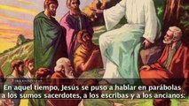Evangelio de Hoy Lunes 5 de Junio 2017 La parábola de los viñadores homicidas