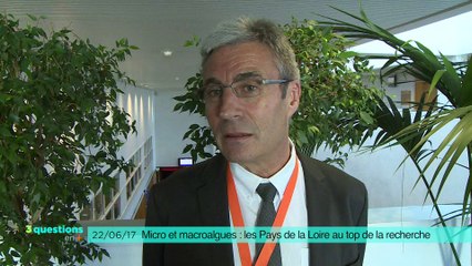 3 questions en plus - Les algues : la ressource du futur ?