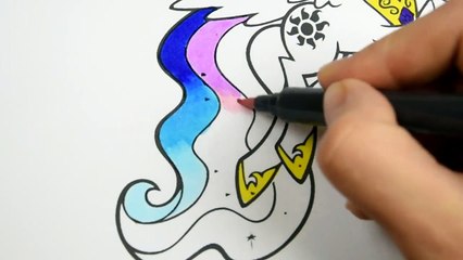 My Little Pony Princess Celestia Coloring Book_ Pa