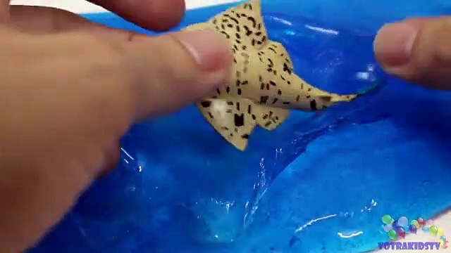 Learning Sea Creatures for Children with Sea Creatures Fishing Toy