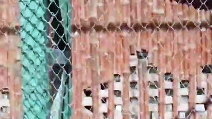 Funny Videos That Will Make You Laugh So Hard You Cry - Just Laug