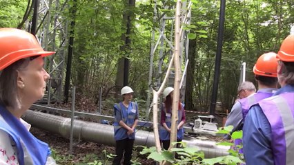 Birmingham News 6pm - 21st June