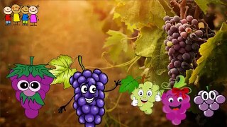 Cartoons for Kids   Cabbage Finger Family Rhymes in English   Family Finge