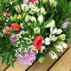 The Posy Co - Kawana Hospital Florist