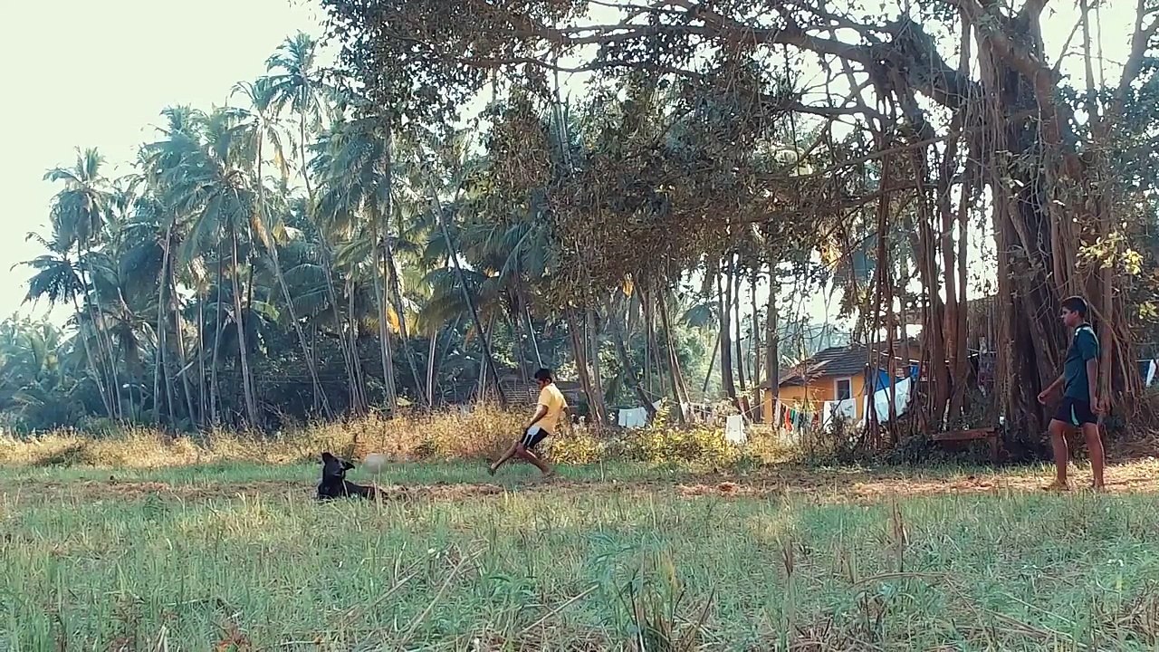 GuestHouser It in Goa