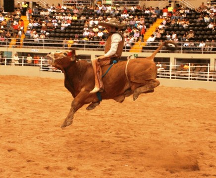 LO MEJOR DEL JARIPEO EXTREMO RANCHERO EN MEXICO ESPUELA LIBRE Y TORO SALVAJE