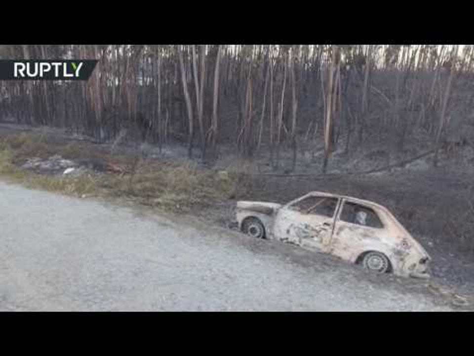 Devastated forests in Portugal: Blaze left 64 dead & 150 injured (DRONE FOOTAGE)