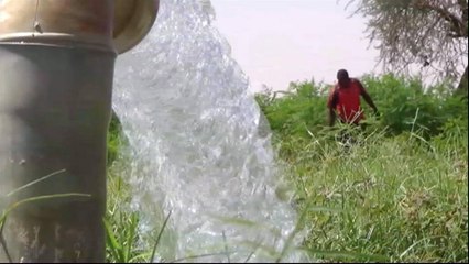 Niger’s water crisis hits farmers