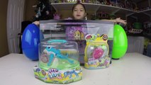 Little Live Pets Water Surprise Toys Giant Eggs Toy Surprises Lil' Tu
