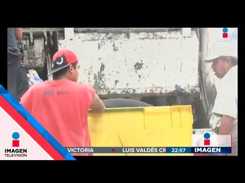 Ahora será OBLIGATORIO separar la basura en CDMX | Noticias con Ciro Gómez Leyva