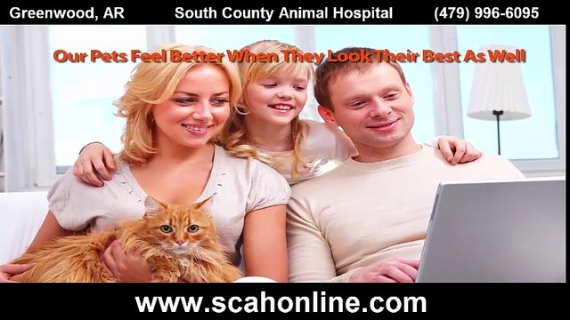 South County Animal Hospital - Pet Grooming