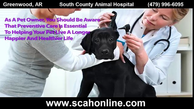 South County Animal Hospital - Vets