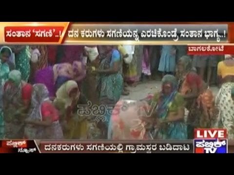 Bagalkot: Throwing Of Cow Dung On One Another Which Leads To 'Pregnancy Fortune'