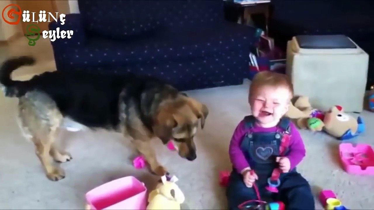 ÇILGIN BEBEKLER VS ÇILGIN KÖPEKLER İNANILMAZ BİR VİDEO KESİNLİKLE İZLE GÜLMEK GARANTİ