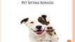 Pet Sitting Services in Frisco - Consult Trained Pet Sitter