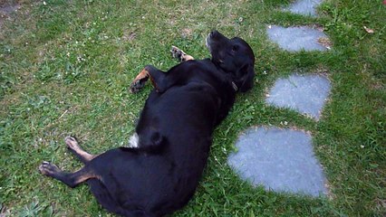 Quand je dois rentrer me coucher !