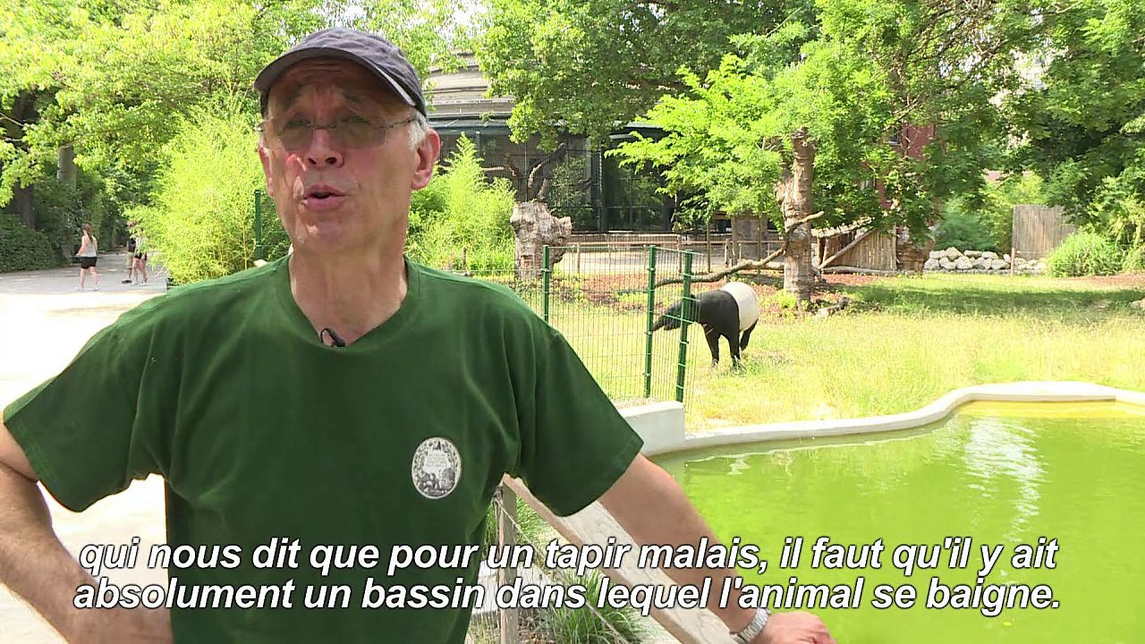 Les animaux du Jardin des Plantes face à la can...