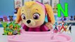 LEARN ABC Alphabet Song with Paw Patrol Baby Skye Learning Colors and ABCs for Children &