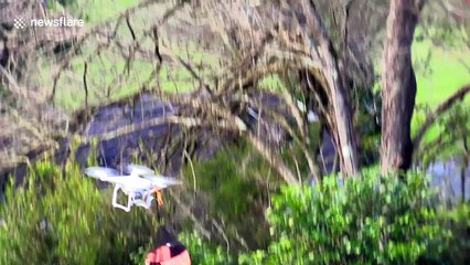 Dad uses drone to launch toy parachute