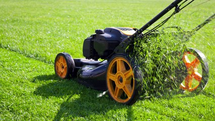 Best Electric Lawn Mowers 2017