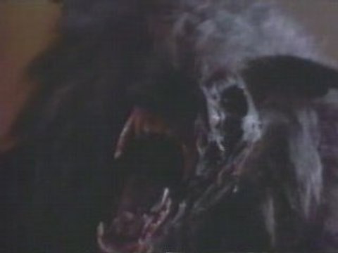 Werewolf Série Télé (La malédiction du loup-garou)