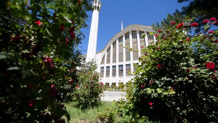 Xhamia në Van të Turqisë