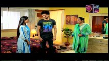 Haal-e-Dil Episode 167 - on Ary Zindagi in High Quality 22nd June 2017