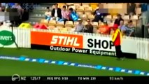 Top 10 'Hit Wickets' In Cricket History (Updated 2016)
