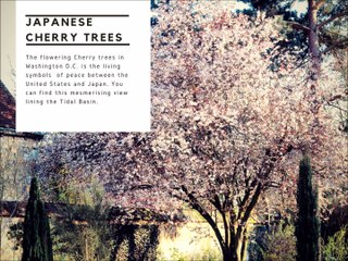 10 famous trees in history