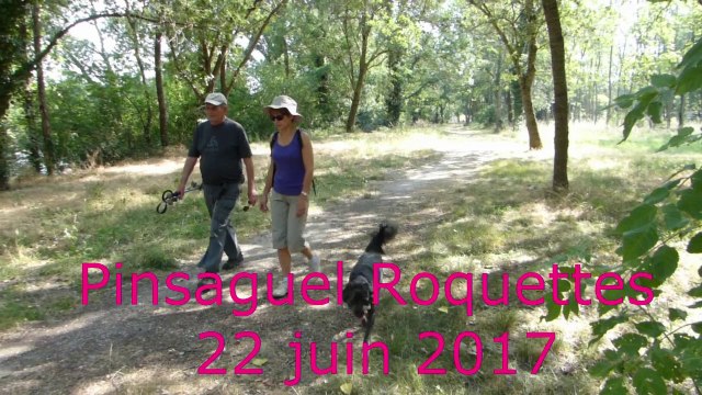 Pinsaguel-Roquettes-22-06-2017