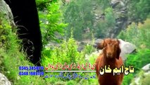 Pashto New Songs Album 2017 Azeem Khan & Soni Khan - Nemgare Meena Vol 01 - Tappey Tappey
