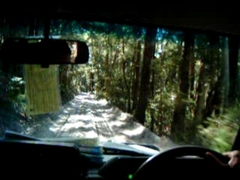 Fraser Island Australie