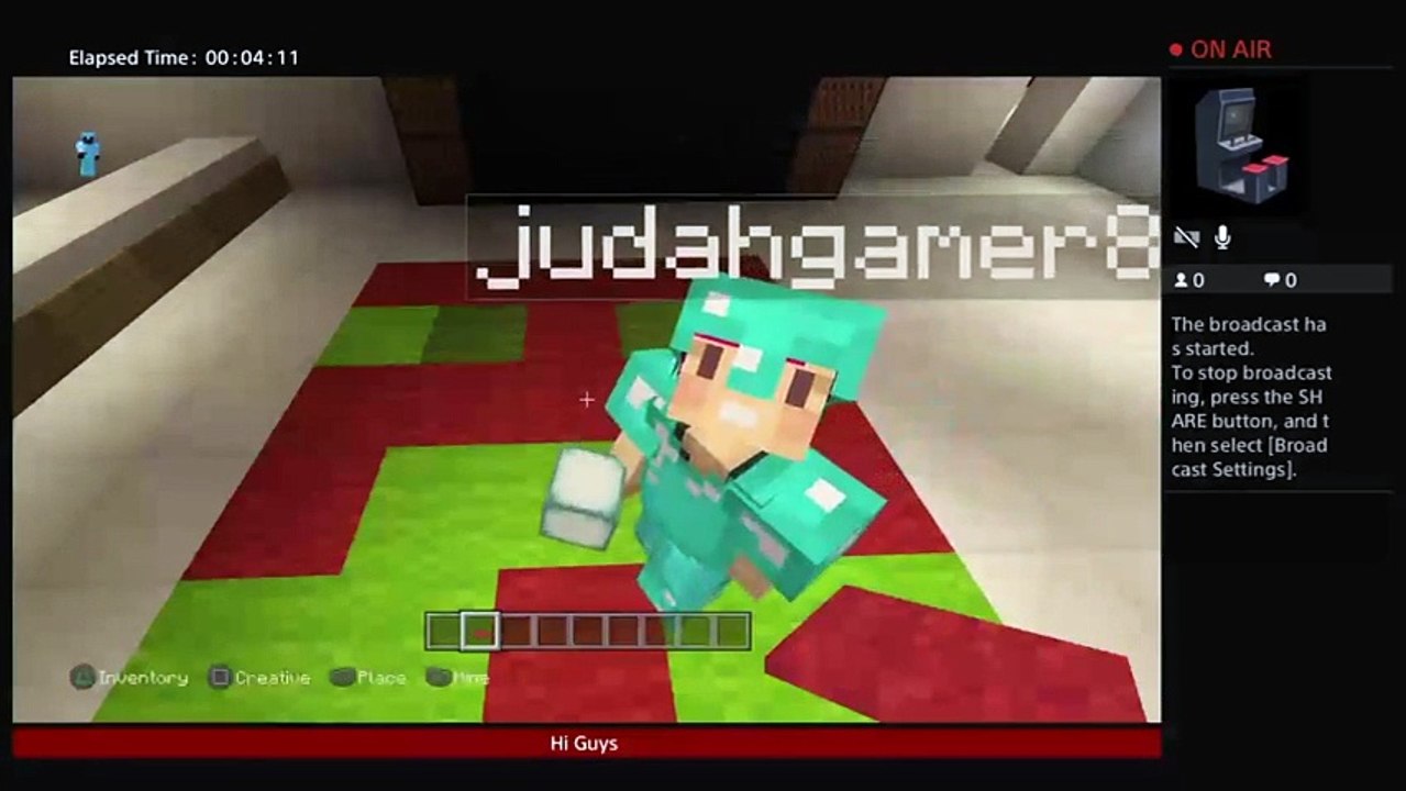 Minecraft (9)
