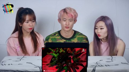 [Korean Reaction] Crazy in love หน้ากากเต่า | THE MASK SINGER 2