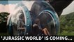 'Jurrasic World's' 2018 sequel poster teases fans