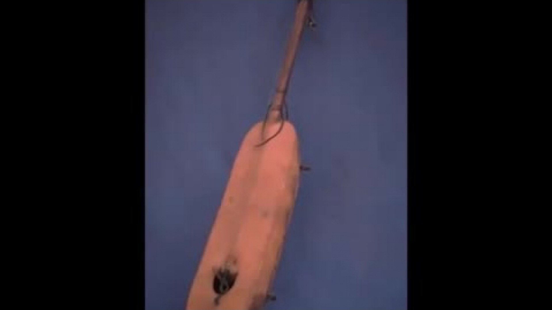 Almamy Bah - Sur Karonga Diawara Coulibaly - Vidéo Dailymotion