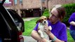 WET PUPPY RESCUED FROM FLOOD by Forgotten Dogs with Hope For Paws + UPDATE VIDEO! The Resc