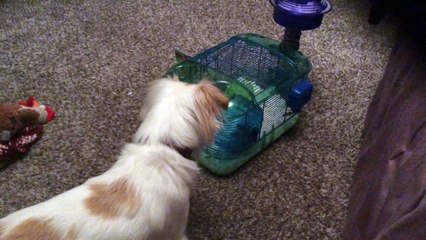 trim.D7EE65DA-185B-4061-A3FE-1B46975352F7