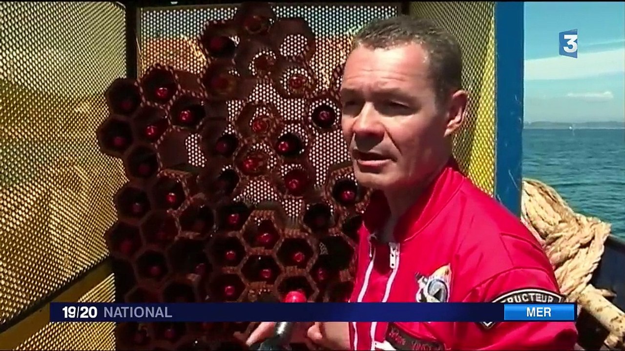 Var : les vin de Bandol sous les mers