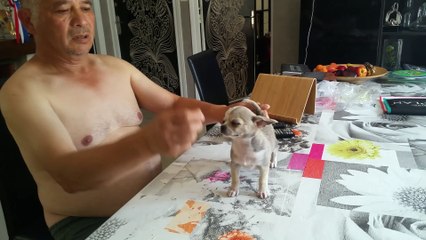 Nobel des graines de stars