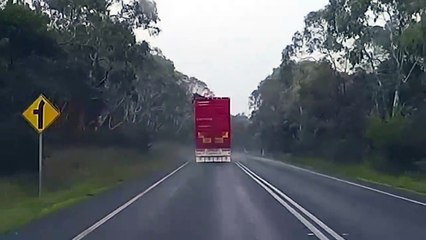 Cette pauvre vache n'as pas tombée de très haut de justesse