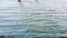 PAKISTAN KPK SWABI PONTYA RIVER