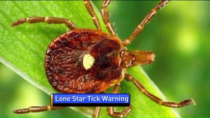 Tick Bite Could Cause You to Become Allergic to Meat