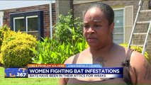 Virginia Mothers Fighting Bat Infestation in Their Townhomes