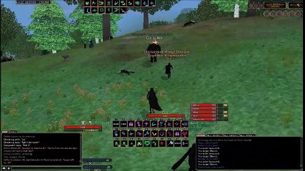 DAOC (fight hib add)