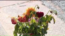 Neighbors Create Small Memorial Where Woman Was Found Dead in Trunk of Car