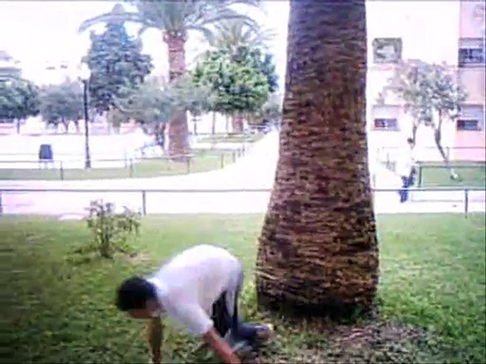 Lianshy Tricks (2006) Gravity X-Treme - Recuerdos Parkour San Fernando